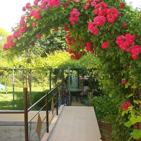 Guest house Georgiev *